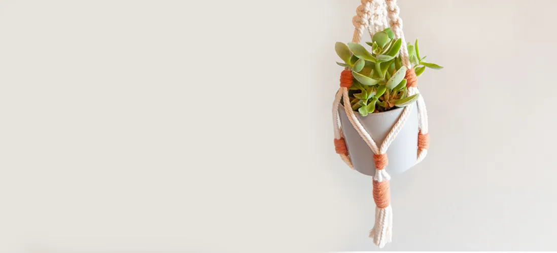 Les suspensions pour plantes